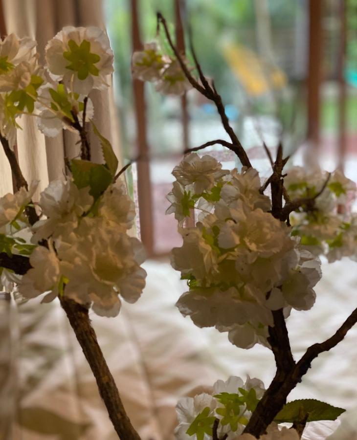 Jardin Quinta Las Fuentes Cabanas, Valsequillo. 푸에블라 외부 사진